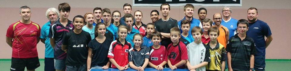 Ligue Nouvelle-Aquitaine Tennis de Table
